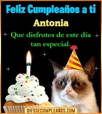 GIF Gato meme Feliz Cumpleaños Antonia