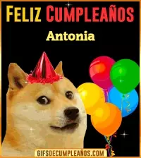 GIF Memes de Cumpleaños Antonia