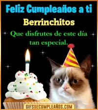 GIF Gato meme Feliz Cumpleaños Berrinchitos