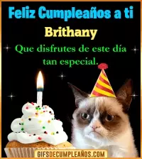 GIF Gato meme Feliz Cumpleaños Brithany