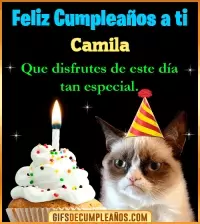 GIF Gato meme Feliz Cumpleaños Camila