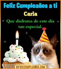 GIF Gato meme Feliz Cumpleaños Carla