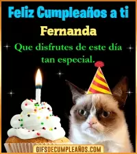 GIF Gato meme Feliz Cumpleaños Fernanda