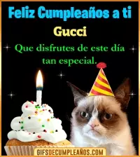 GIF Gato meme Feliz Cumpleaños Gucci