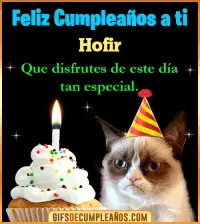 GIF Gato meme Feliz Cumpleaños Hofir