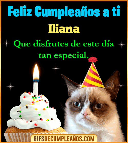 Gato meme Feliz Cumpleaños Iliana Gato meme Feliz Cumpleaños Iliana