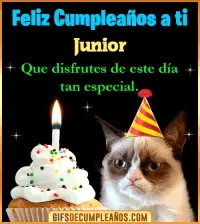 Gato meme Feliz Cumpleaños Junior