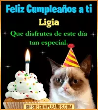 GIF Gato meme Feliz Cumpleaños Ligia