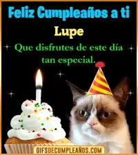 GIF Gato meme Feliz Cumpleaños Lupe