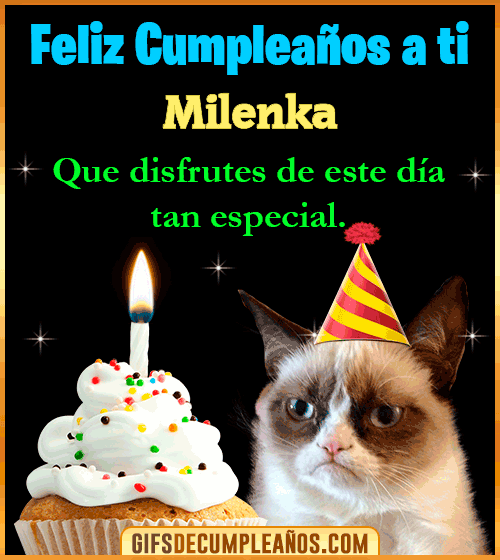 Gato meme Feliz Cumpleaños Milenka Gato meme Feliz Cumpleaños Milenka