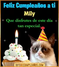 GIF Gato meme Feliz Cumpleaños Mily