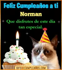 GIF Gato meme Feliz Cumpleaños Norman