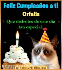 GIF Gato meme Feliz Cumpleaños Orfalis