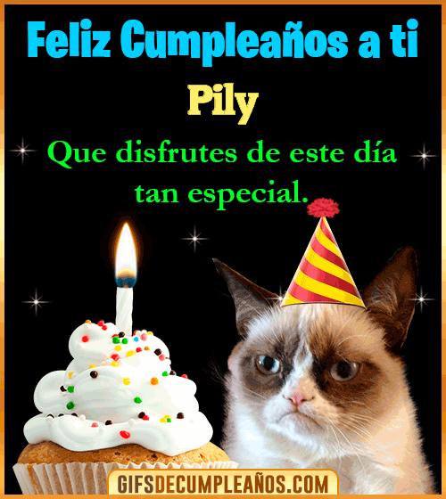 Gato meme Feliz Cumpleaños Pily Gato meme Feliz Cumpleaños Pily