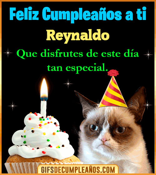 Gato meme Feliz Cumpleaños Reynaldo Gato meme Feliz Cumpleaños Reynaldo