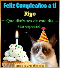 GIF Gato meme Feliz Cumpleaños Rigo
