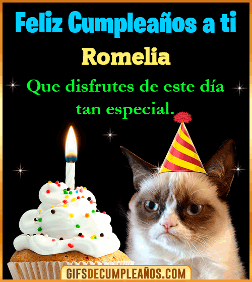 Gato meme Feliz Cumpleaños Romelia Gato meme Feliz Cumpleaños Romelia