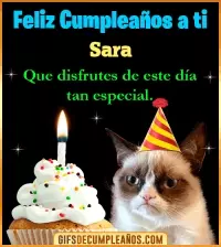 GIF Gato meme Feliz Cumpleaños Sara