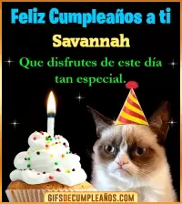 GIF Gato meme Feliz Cumpleaños Savannah