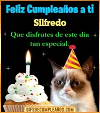 GIF Gato meme Feliz Cumpleaños Silfredo