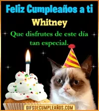 GIF Gato meme Feliz Cumpleaños Whitney