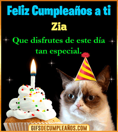 Gato meme Feliz Cumpleaños Zia Gato meme Feliz Cumpleaños Zia