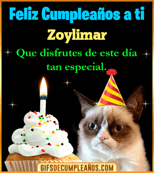 Gato meme Feliz Cumpleaños Zoylimar Gato meme Feliz Cumpleaños Zoylimar